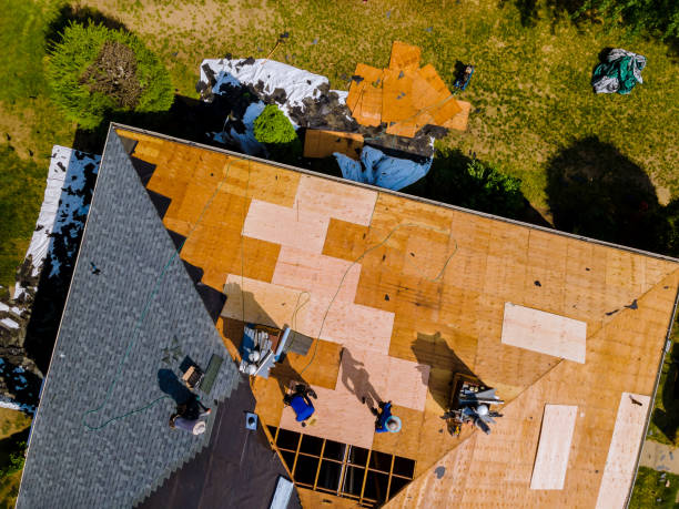 Best Local Roofing Companies  in Panthersville, GA
