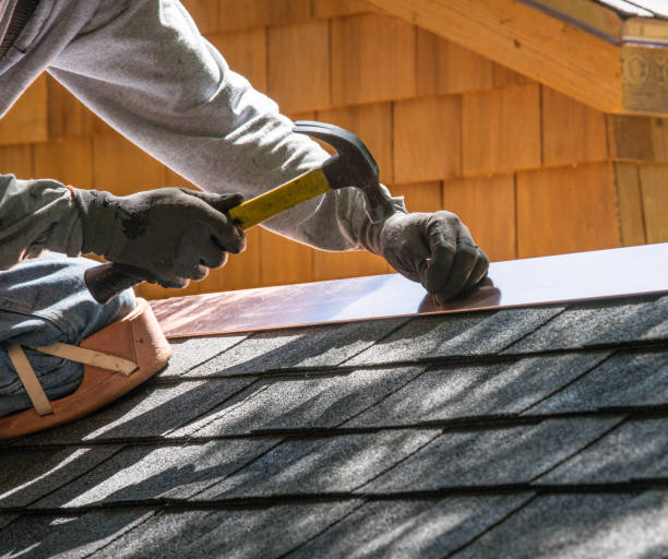 Best Roof Maintenance Services  in Panthersville, GA